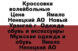  Кроссовки волейбольные ASICS › Цена ­ 3 000 - Ямало-Ненецкий АО, Новый Уренгой г. Одежда, обувь и аксессуары » Мужская одежда и обувь   . Ямало-Ненецкий АО